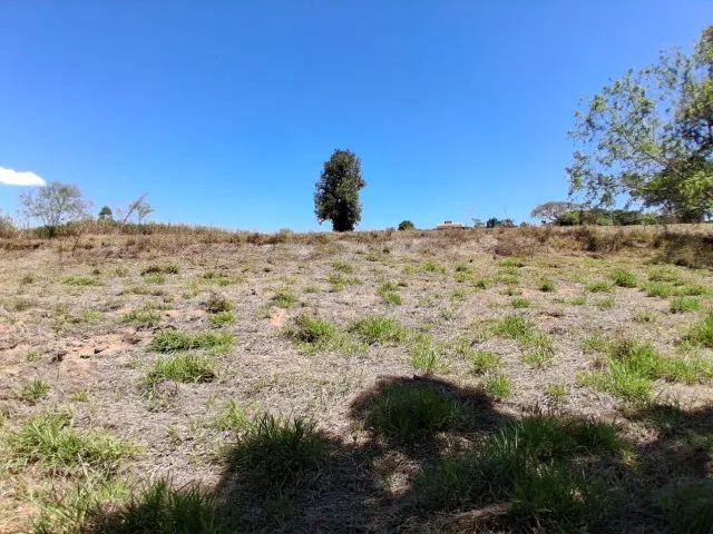 Sítio com 23.500m² Região Mogi Mirim - Foto 4