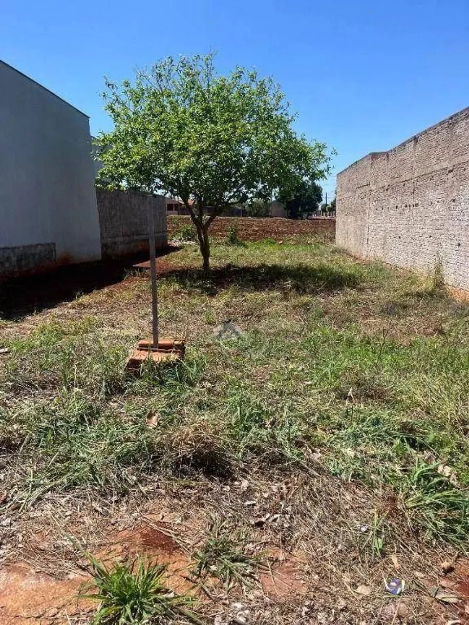 Terreno à venda, 250 m² por R$ 150.000,00 - Jardim Padovani - Londrina/PR - Foto 2