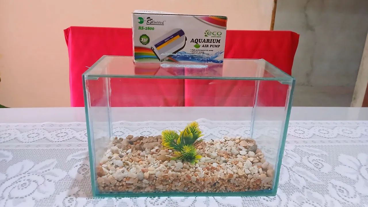 Aquários 