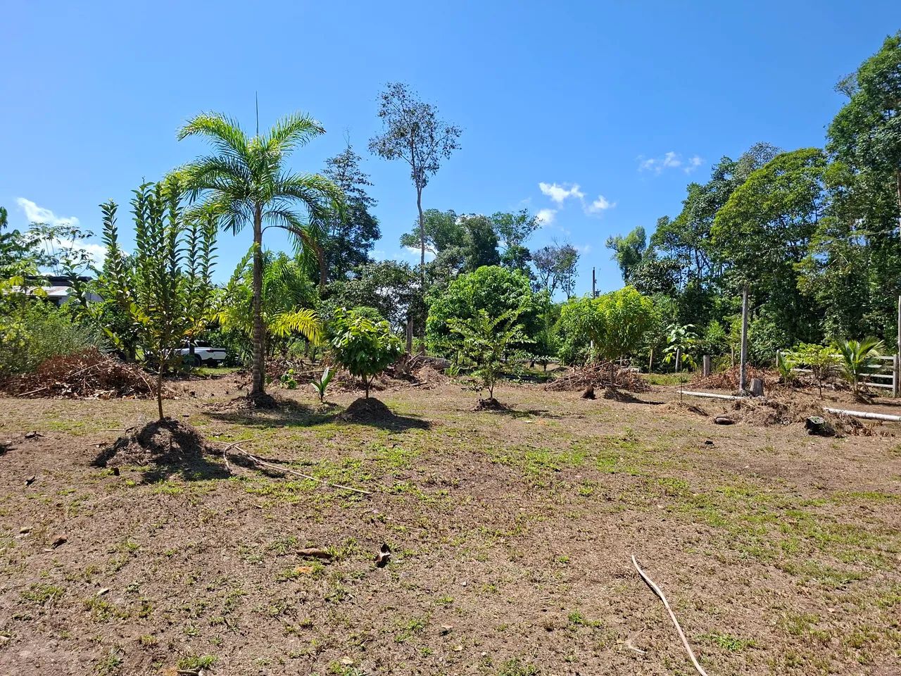 Lindo terreno pra sítio  - Foto 5