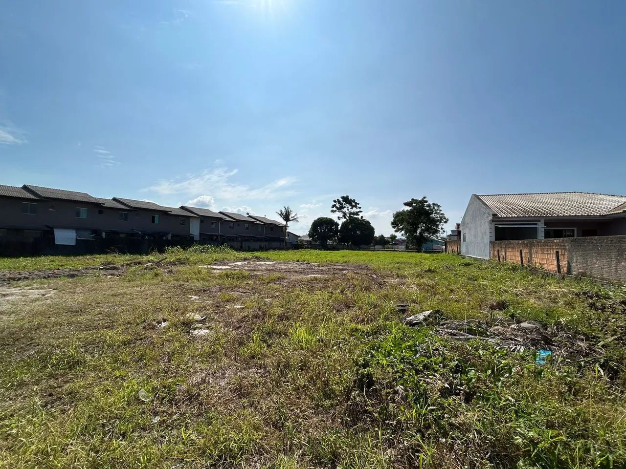 Foto - Palhoça - Aririú da Formiga