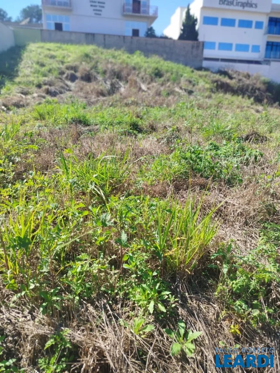 TERRENO - RESIDENCIAL SÃO LUIZ - SP - Foto 4