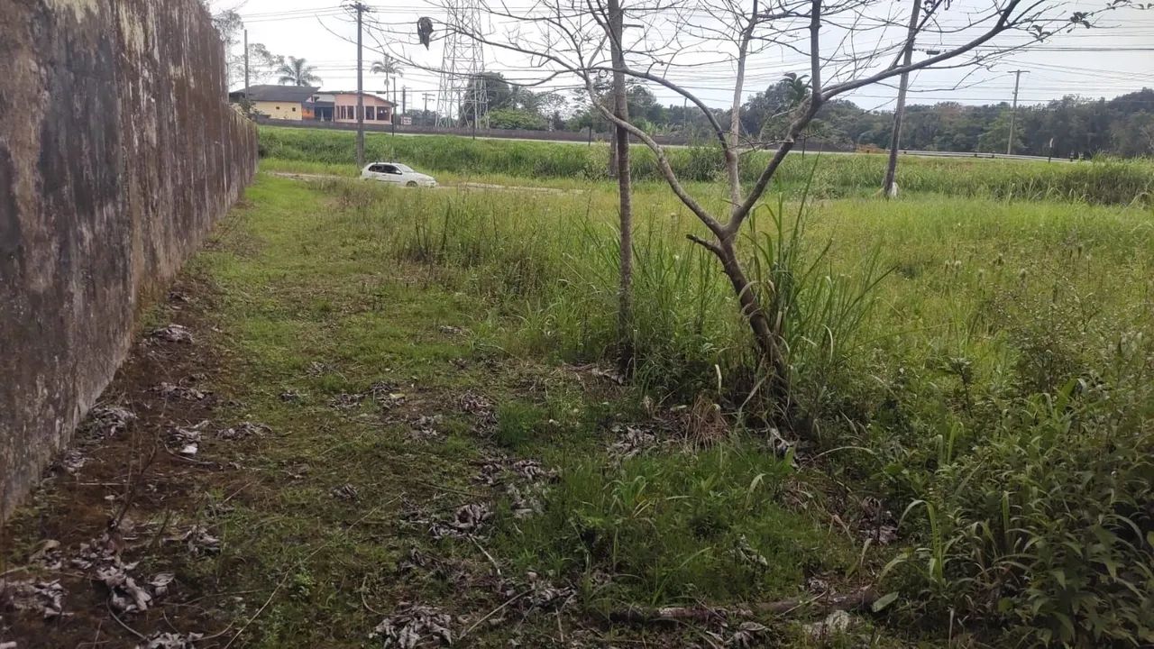 Foto - Peruíbe - Balneário Josedy