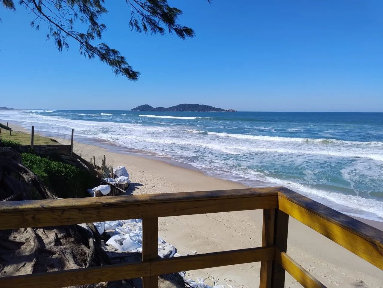 Terreno com 952,98m² no Morro das Pedras, Florianópolis. - Foto 3
