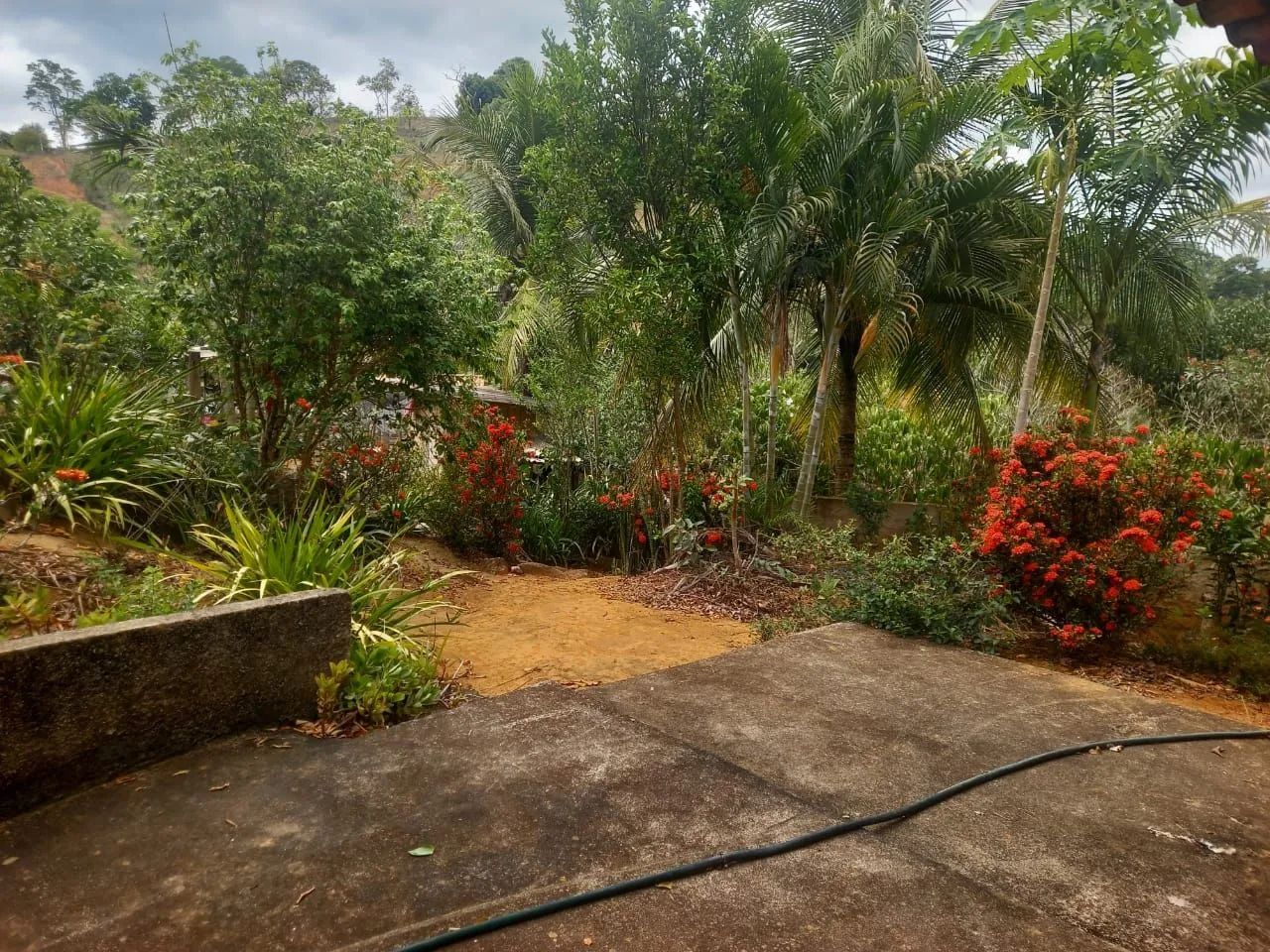 Sitio - Foto 2