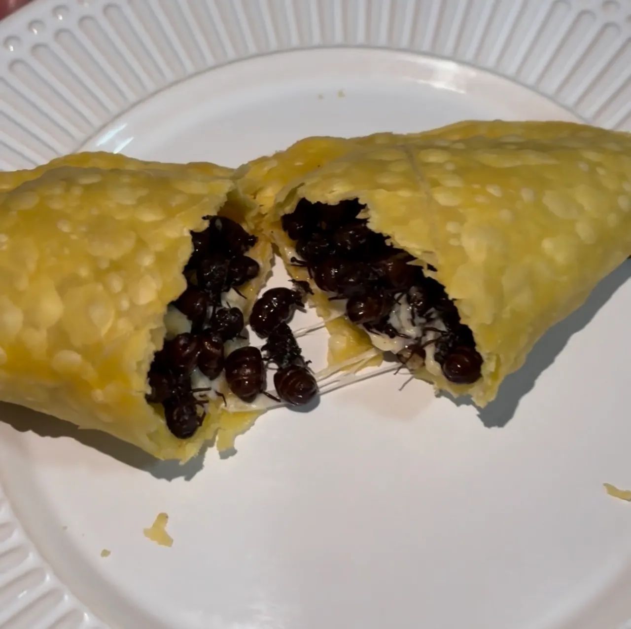 Pastel de Tanajura  - Foto 5