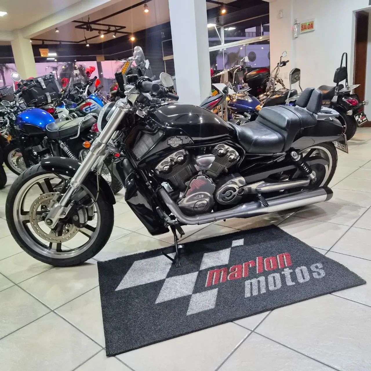 V-ROD 1250cc MUSCLE VRSCF - Foto 3
