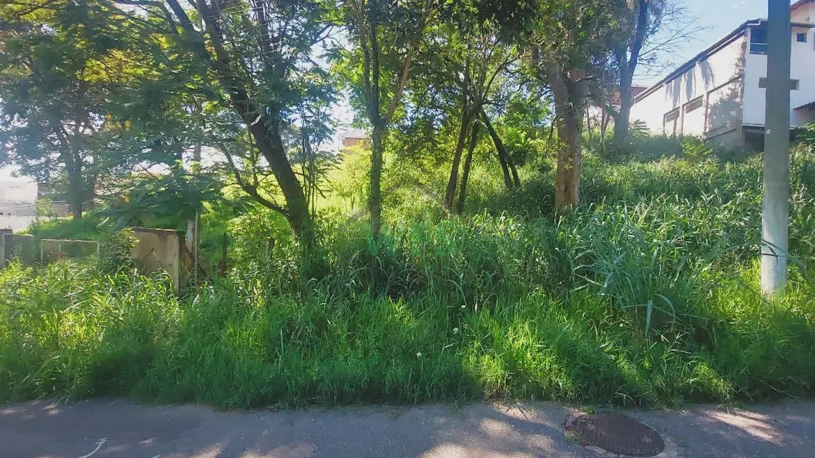 LOTE EM SAO JOSE DA LAPA - Foto 2