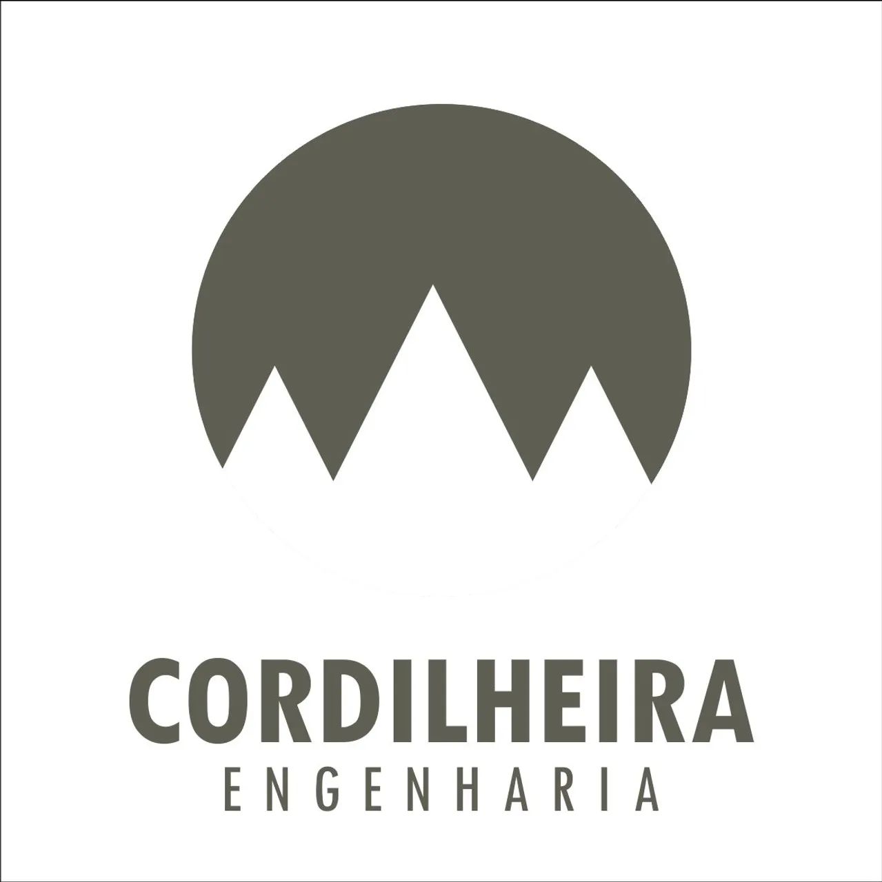 Serviços de pintura e obras em geral com acompanhamento técnico 