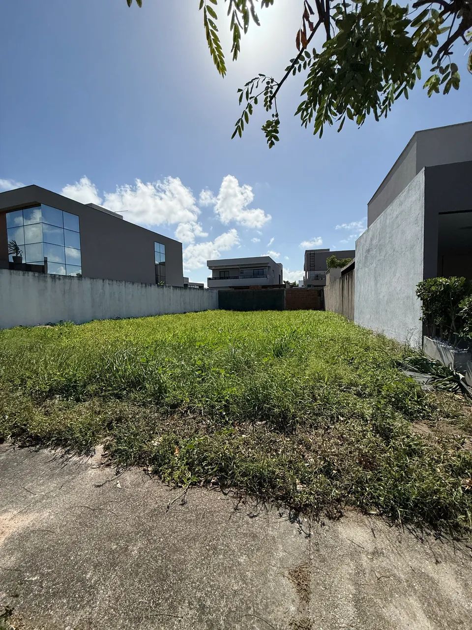 Vendo vista lagoa 320 mil nascente  - Foto 3