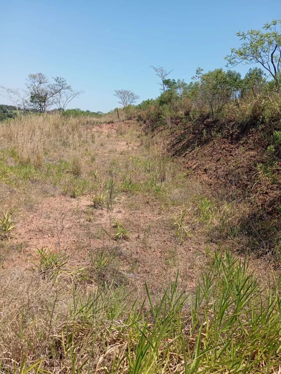 Terrenos a venda  - Foto 2
