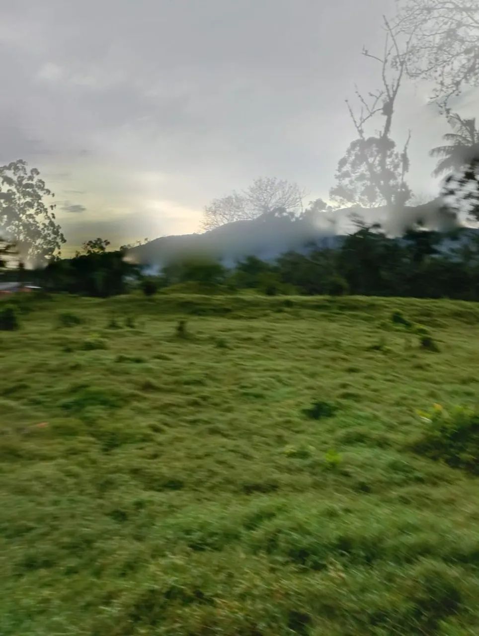 Excelente Oportunidade em Santo Amaro da Imperatriz 