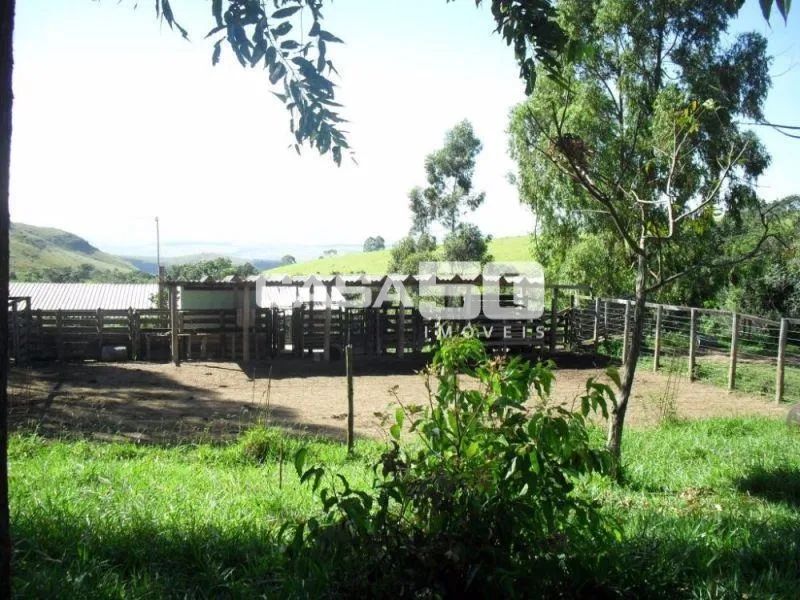fazenda - Centro - Pimenta - Foto 5