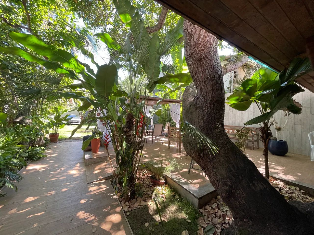 Carnaval, um lindo lugar para reciclar energias  - Foto 6