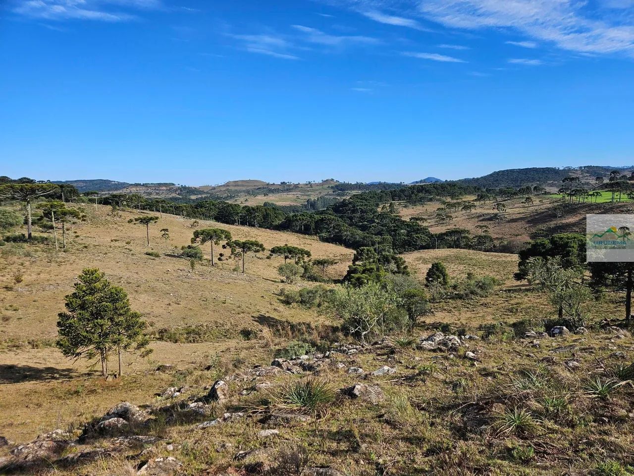 Área Rural em Cedro, Urupema/SC - Foto 4