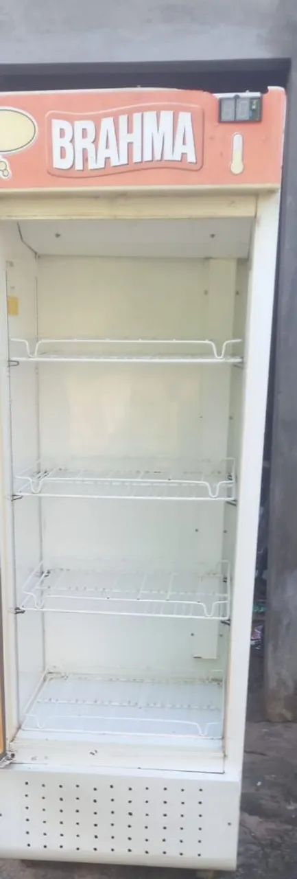 Frizer vertical Brahma - Foto 4