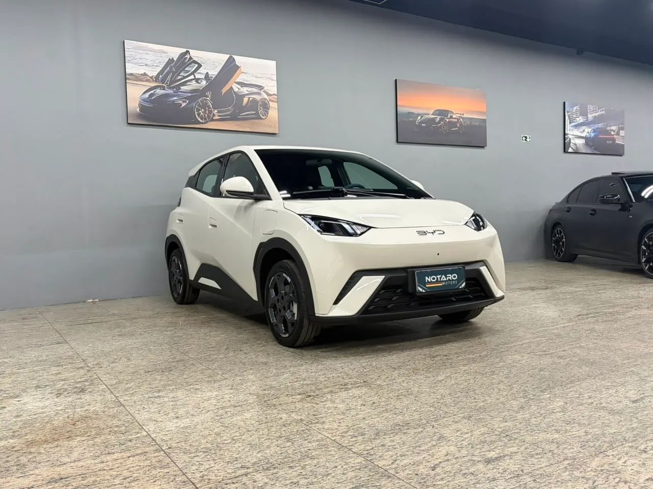 BYD Dolphin Mini (Elétrico) 2027 - Foto 2