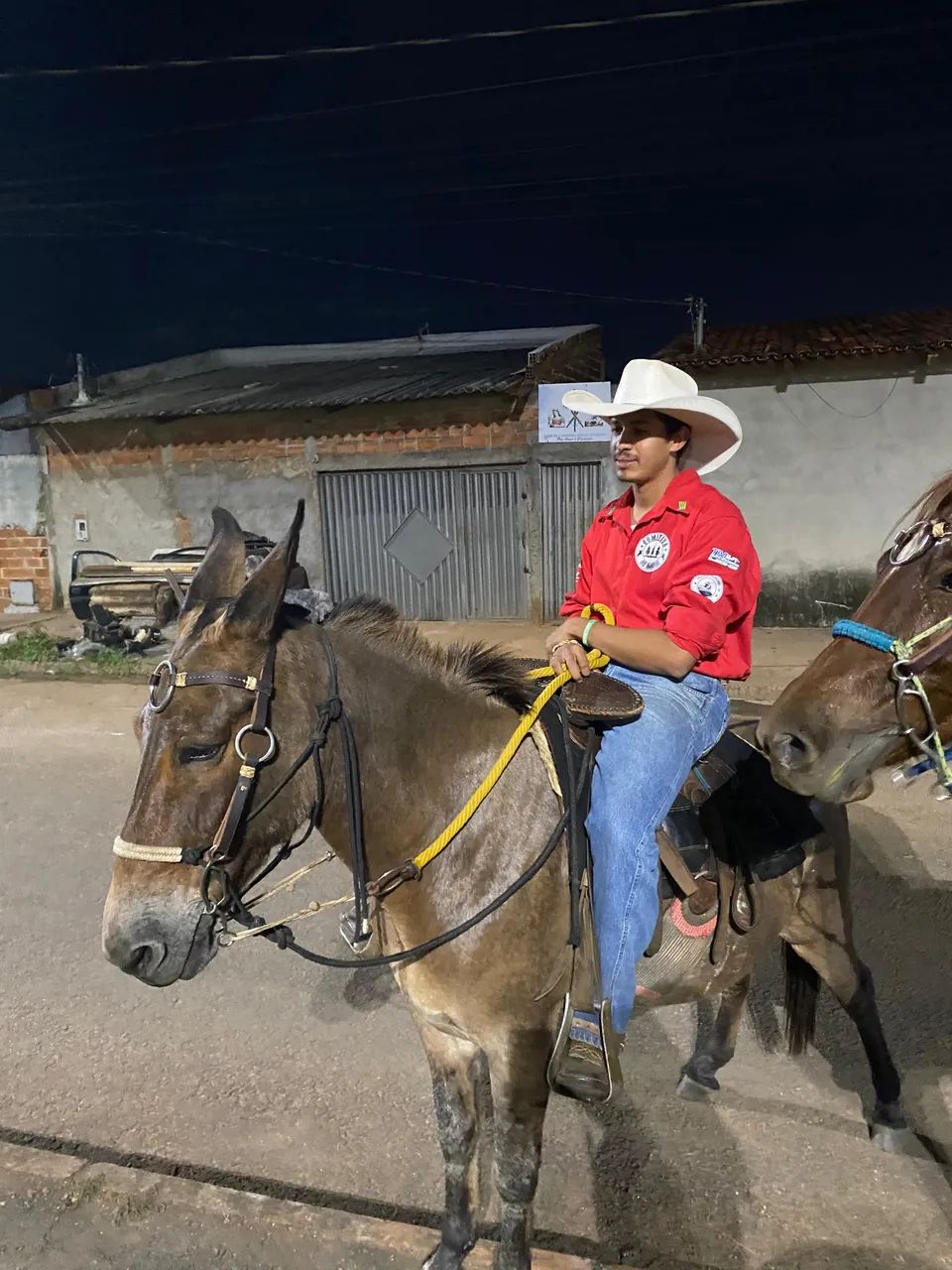 Vendo mula boa , quem tiver interesse, só chamar  - Foto 5