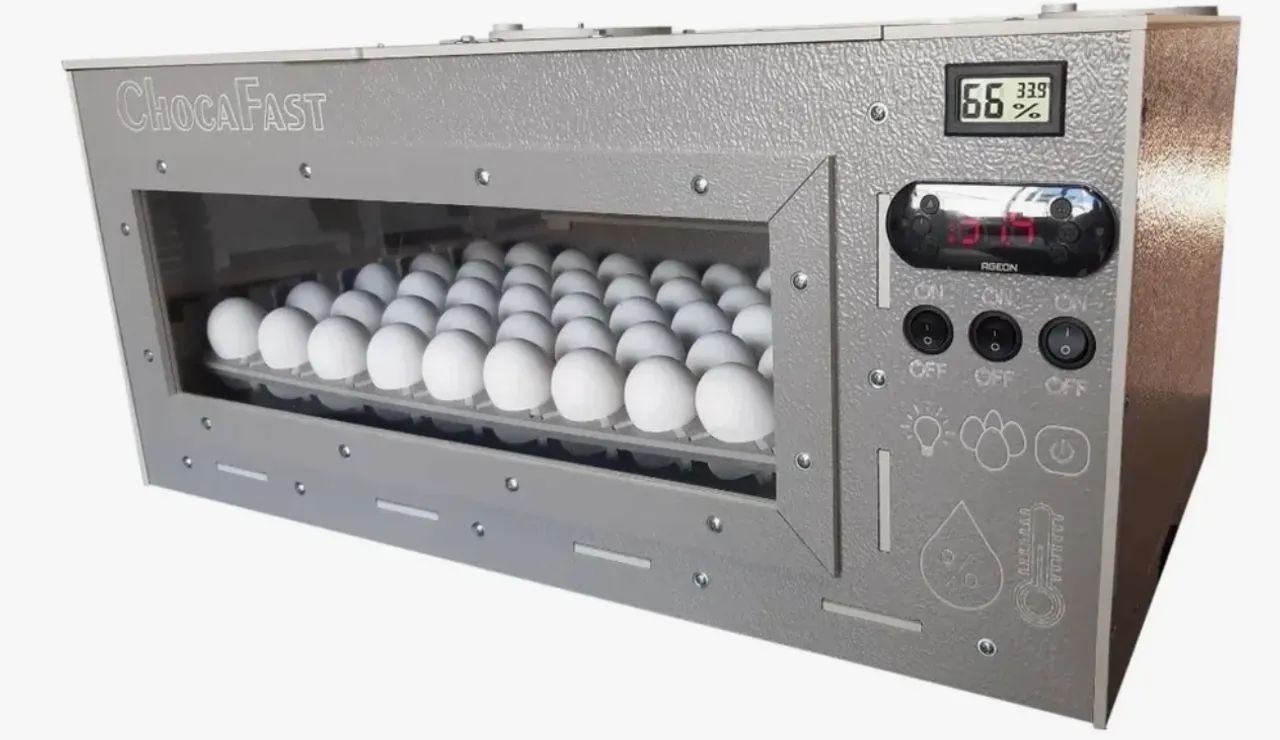 Chocadeira ECOFAST 50 ovos - OPORTUNIDADE  - Foto 2