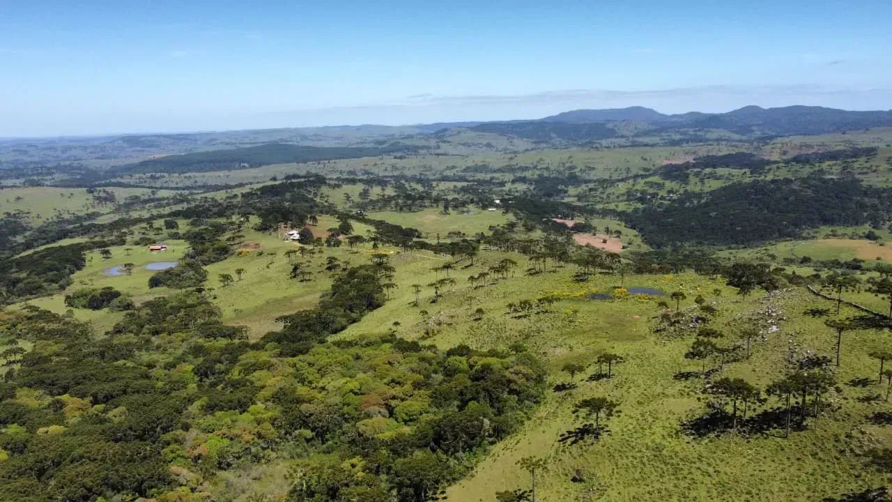 Terreno com 20 hectares em Urupema - Foto 4