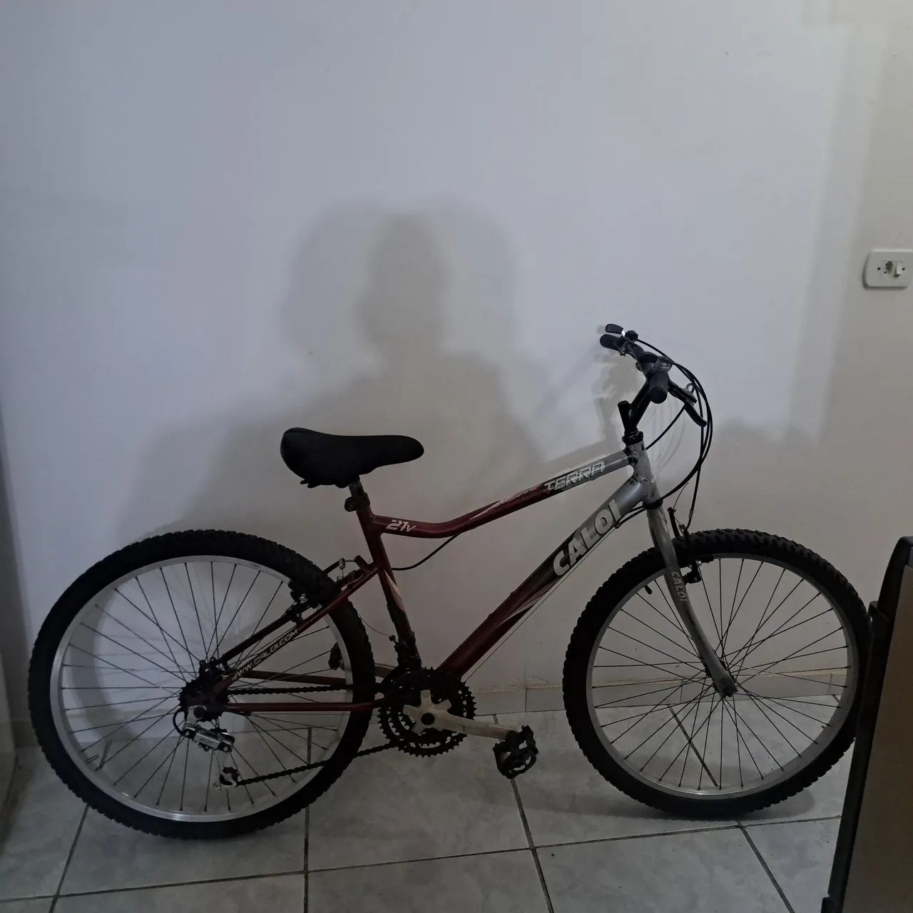Bicicleta