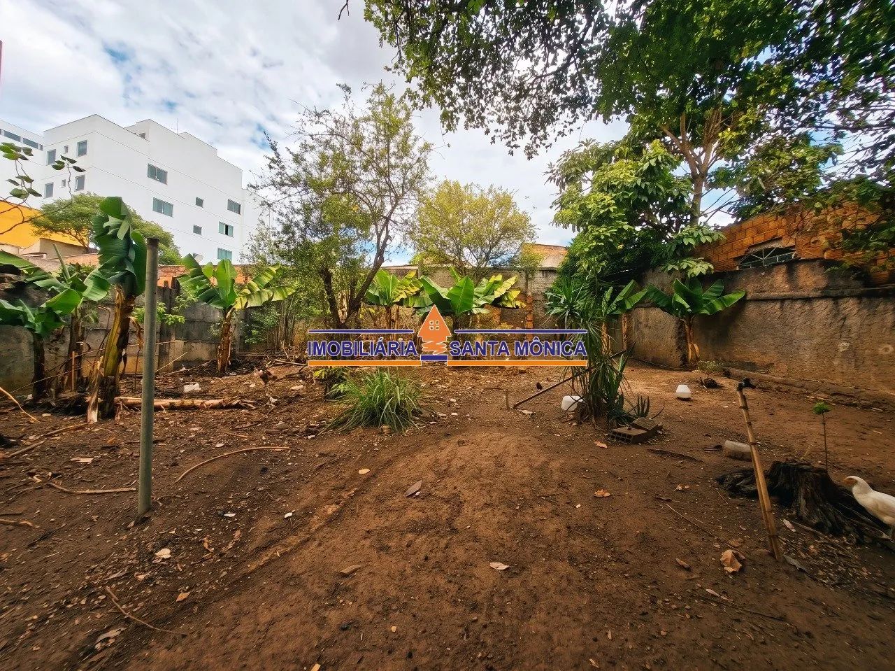 Lote 364m² - Santa Amélia - Foto 4