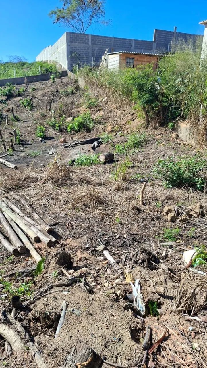TERRENO PONTA DA FRUTA  - Foto 4