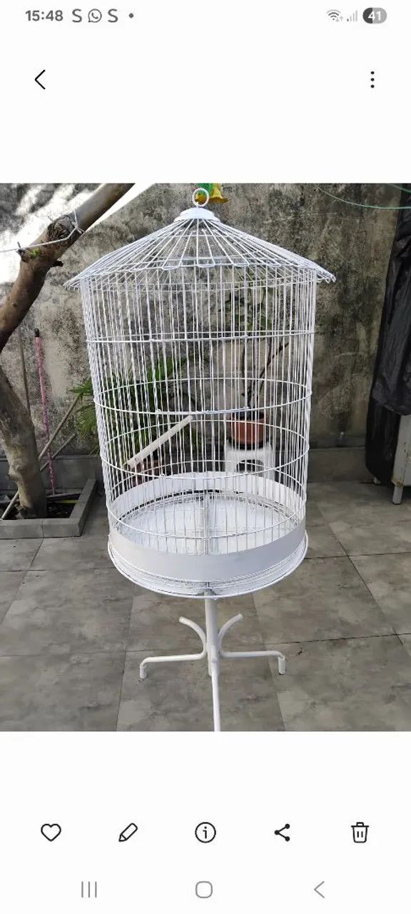 Viveiro/ gaiola.65093396965251120