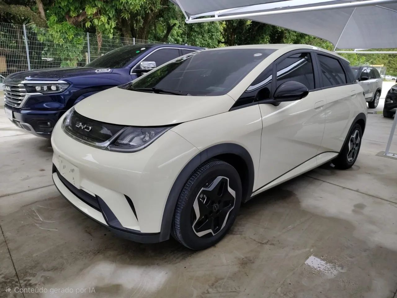 BYD Dolphin EV (Elétrico) 2024 - Foto 3