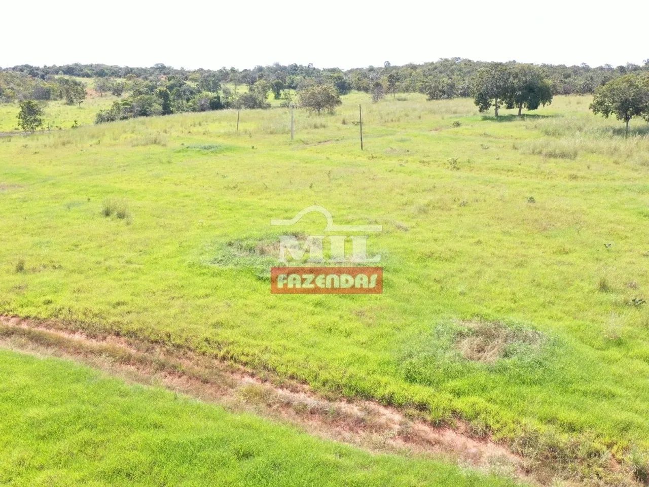 Fazenda Extra em Mara Rosa-GO. (65 Alqueires) - Foto 3