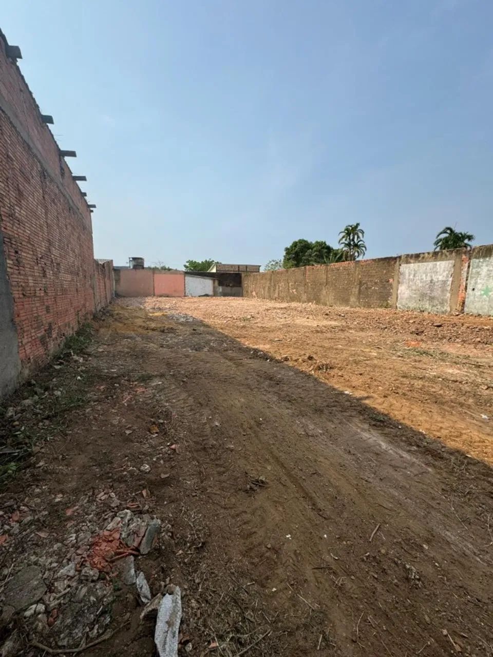 Terreno - Cuniã - Foto 4