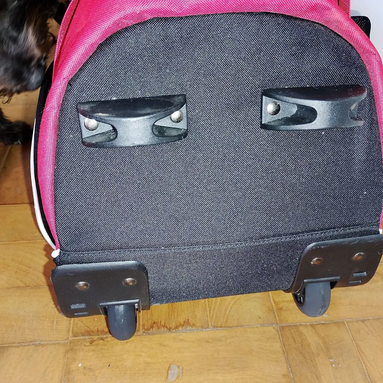Bolsa do São Paulo  - Foto 3