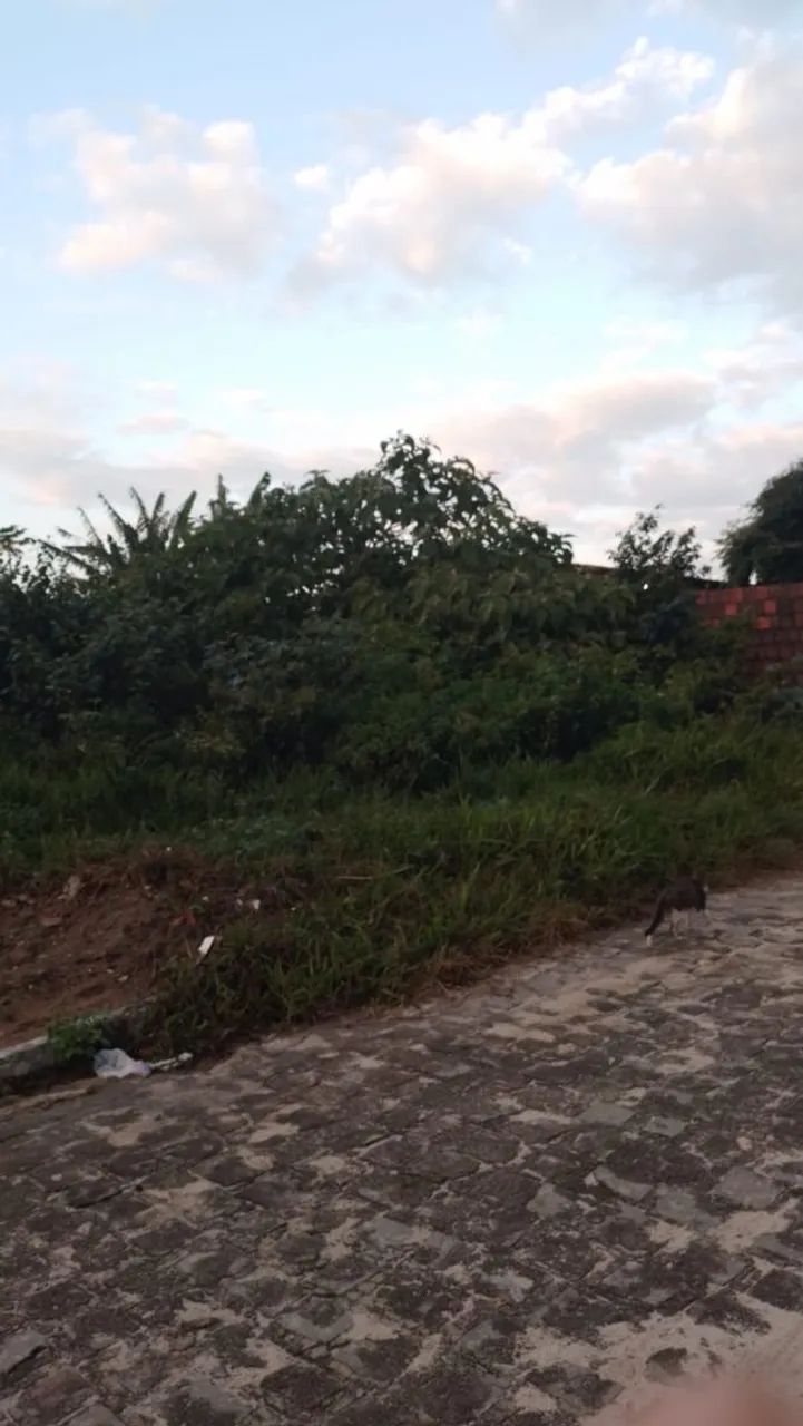 Vendo terreno no conde totalmente financiado - Foto 3