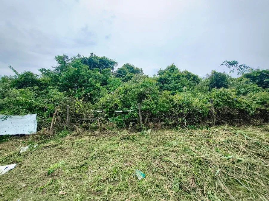 AREA COM 32.837,32M² - EDEN - Foto 2