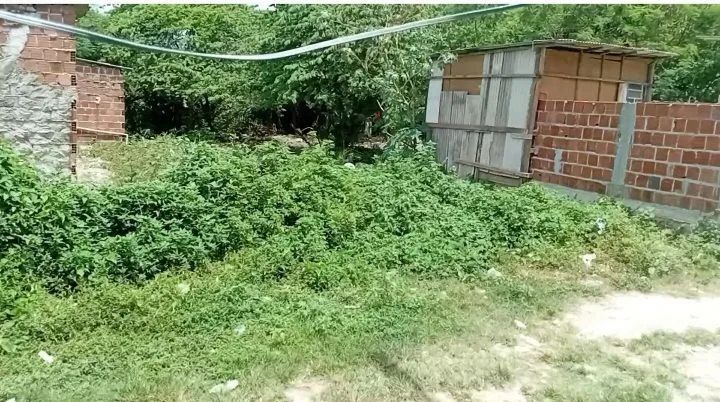 Terreno  - Foto 2