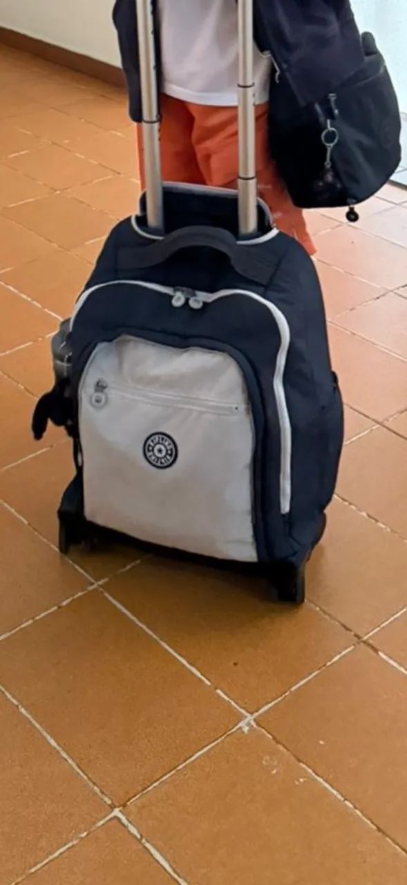Bolsa de carinho kipling 