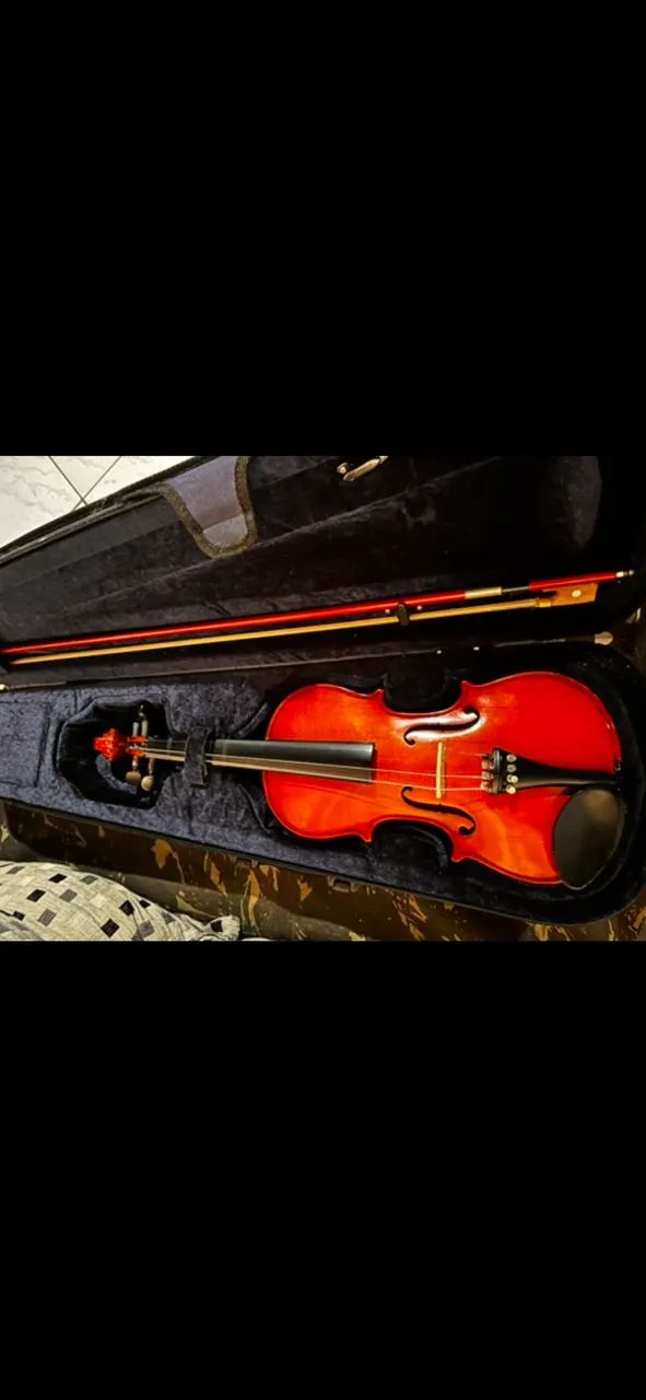 Violino