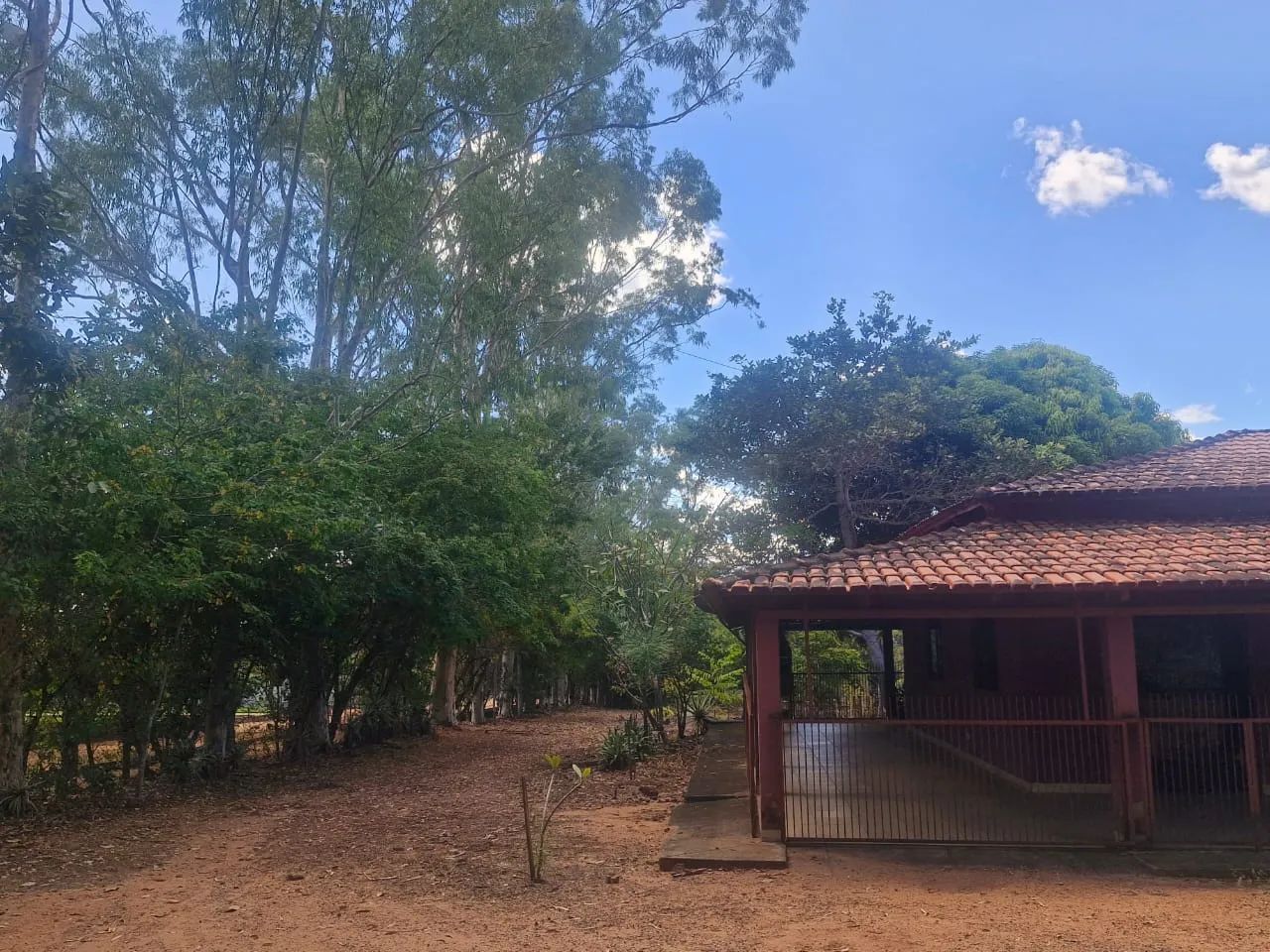 Chácara à Venda - Rio Santa Luzia | Palmas - TO - Foto 4