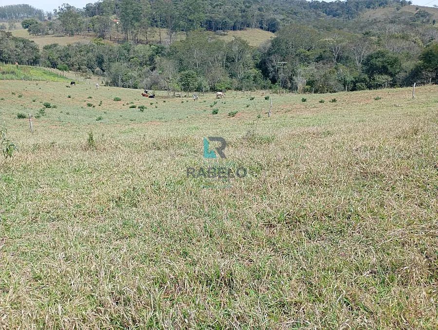 SÍTIO COM 2 ALQUEIRES À VENDA EM LAGOINHA-SP