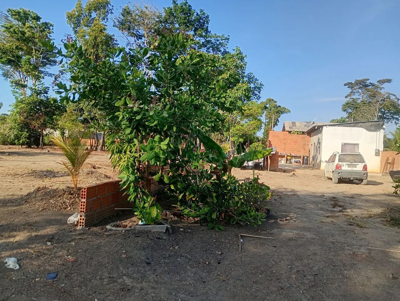 Vendo casa no bairro goiabal - Foto 3