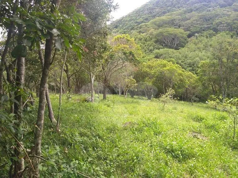 Terreno com 6.729 m² à venda, Encantada, Garopaba/SC - Foto 4