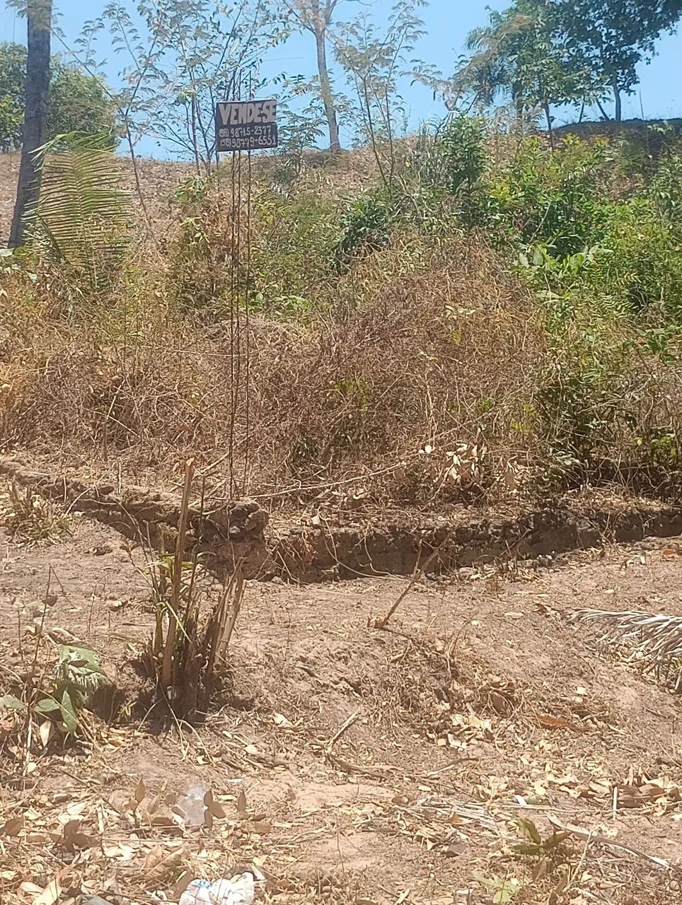 VENDO TERRO NO CAJUPARY - Foto 3