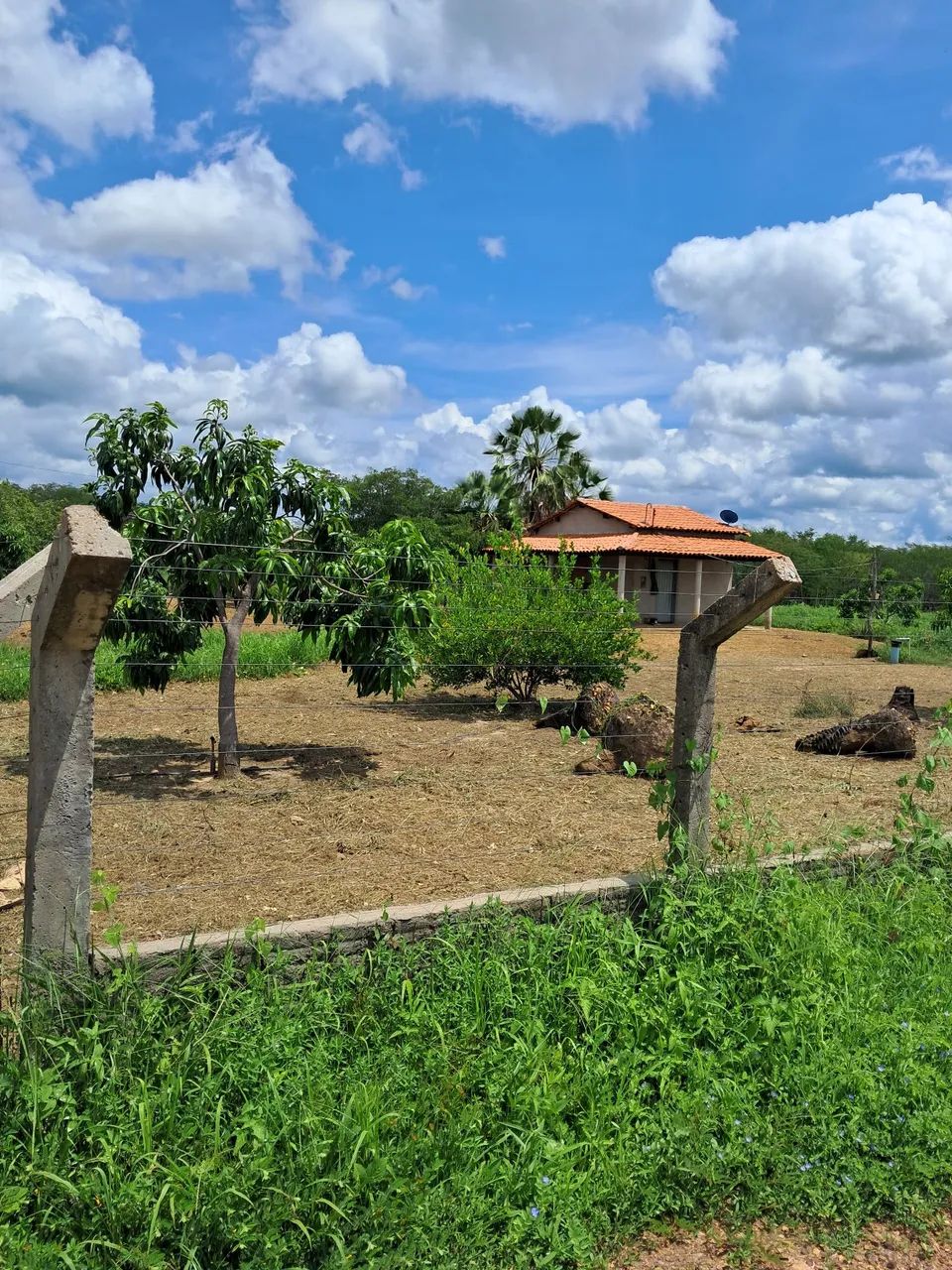 Chácara a venda  - Foto 2
