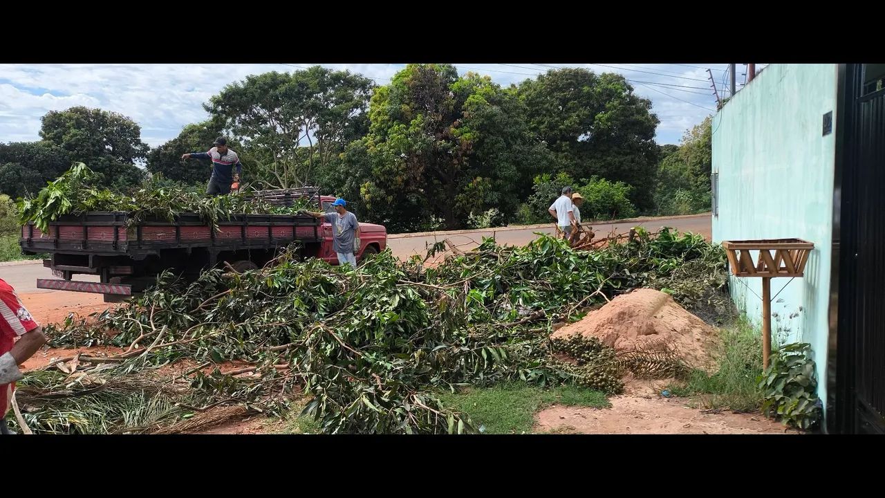 Limpeza de terreno,podas e cortês de árvore. - Foto 2