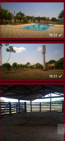 Vendo fazenda em Luzinopolis-To, 90 alqueires com 70 formado - Foto 2