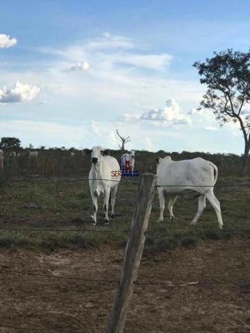 Fazenda a venda no estado do mato grosso - Foto 2