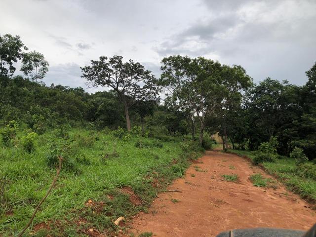 240 Alq. 160 km de Goiânia. (Gado e Soja) - Foto 20