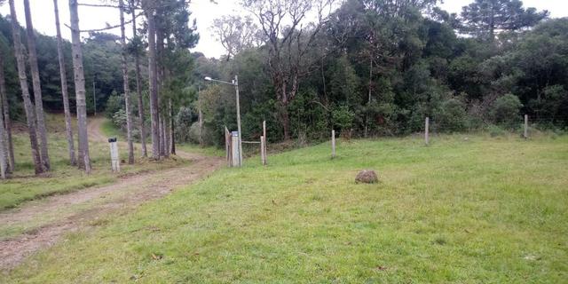 Chácara 7,5 Ha Vila Oliva - Foto 7