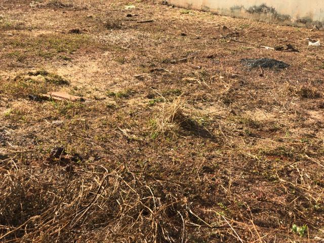 Terreno 450.00 m2 jardim rio preto, Tangará, estuda-se pegar um carro. - Foto 3