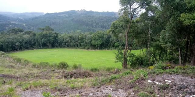 Chácara 7,5 Ha Vila Oliva - Foto 6